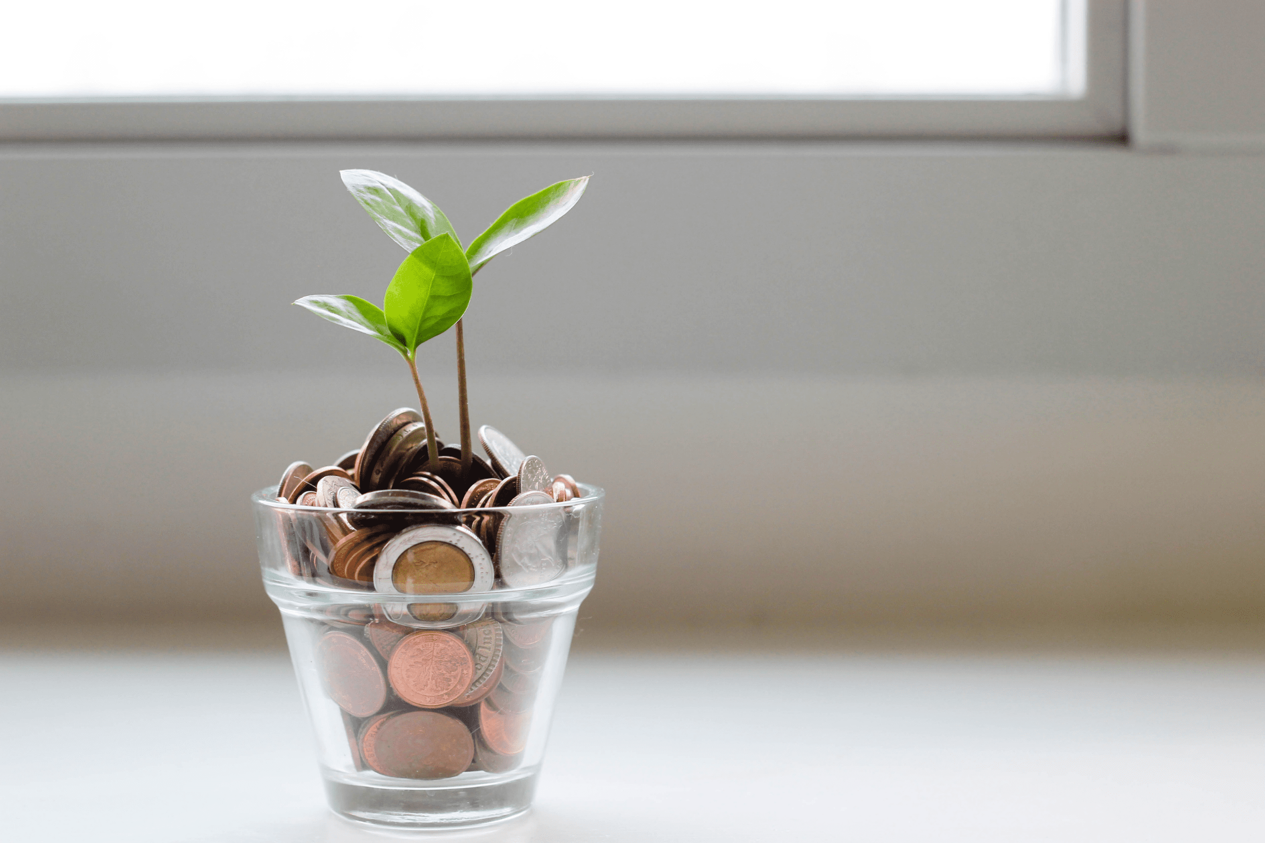Untitled design 7 - How To Invest In Cash Flow Stocks with Andy Tanner